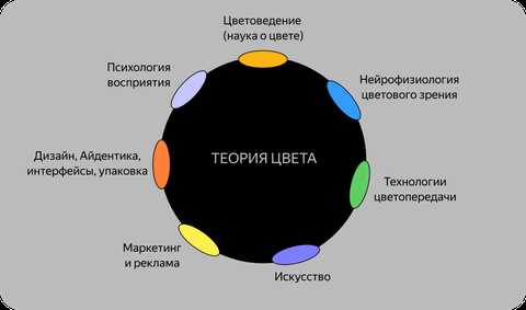 Искусство цвета в графическом дизайне: выбор гармоничных цветовых схем