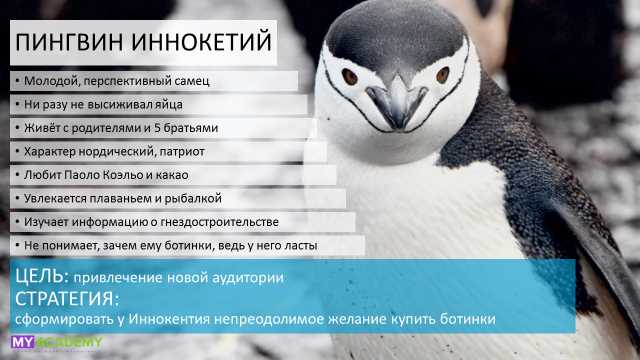 Как выбрать целевые группы для таргетированной рекламы: стратегии и методы